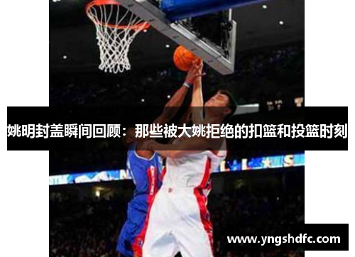 姚明封盖瞬间回顾：那些被大姚拒绝的扣篮和投篮时刻